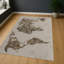 Area Rug-2069767539