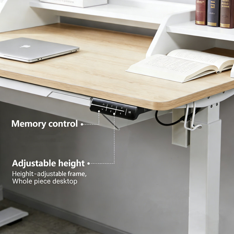 Larreon Electric Height Adjustable Standing Desk, Natural/White, 48"