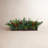 10'' Faux Pine Plant in Wood Planter