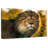 Brampt Lion Head Splendor-108722923