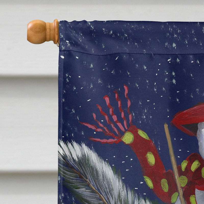 Drapeau de maison Hvidovre Sheltie Halloween en polyester à 2 faces 3 x 2 pi, Fox terrier plaisir d'hiver - Noël