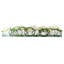 Casa Moderna Cymbidium Orchids and Loops of Grass Shoots in Glass Plate Planter
