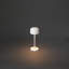 Lille Mini Cordless Table Lamp - USB Rechargeable, Dimmable LED, Elegant Design-110764271-110764270
