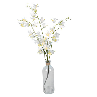 Orchids Arrangement in Vase