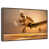 Floating Frame Walnut