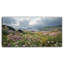 Art mural sur toile Seaside Wildflowers-118374575