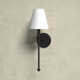 Dash Single Light Steel Dimmable Wallchiere