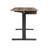 48'' W Adjustable Standing Desk With Keyboard Tray For Home Office-917880803
