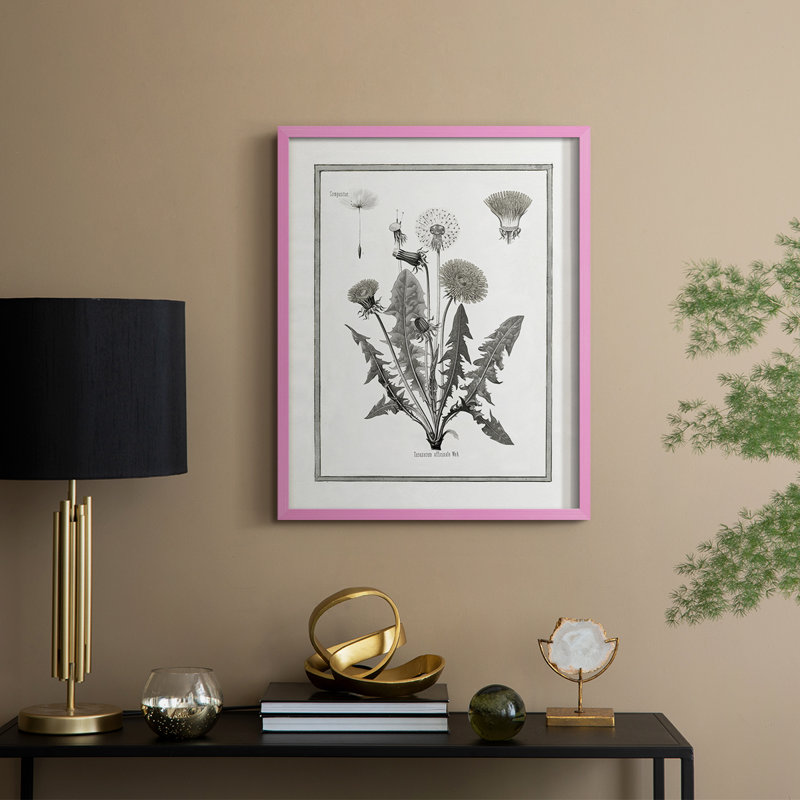 Pissenlit I, reproduction encadrée - bois massif, H 30 po x l 24 po, Rose