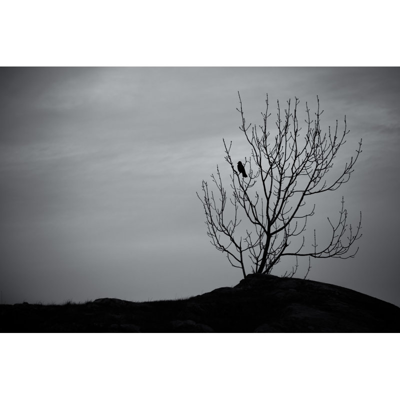 Black Crow par Arvidb - photographie sur toile tendue, L 48 po x H 32 po