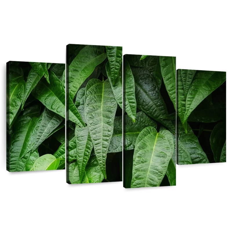 Harnek feuilles de plantes fraîches, H 22 po x l 36 po