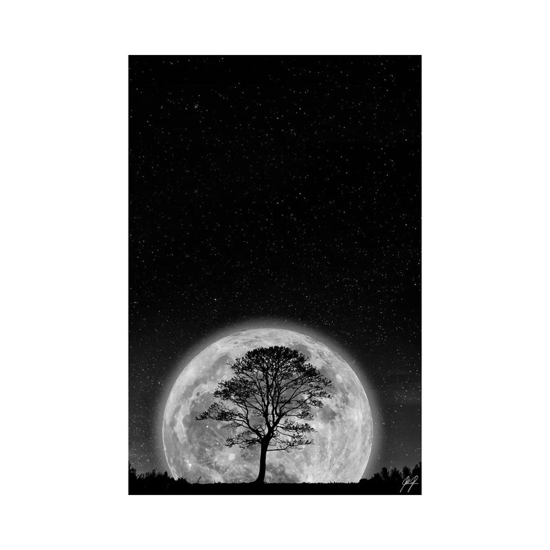 Supermoon 1 Piece Wrapped Canvas Wall Art, 101.6 cm H x 66.04 cm W