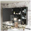 Miroir d'armoire à pharmacie mural Trayshawn-341900074