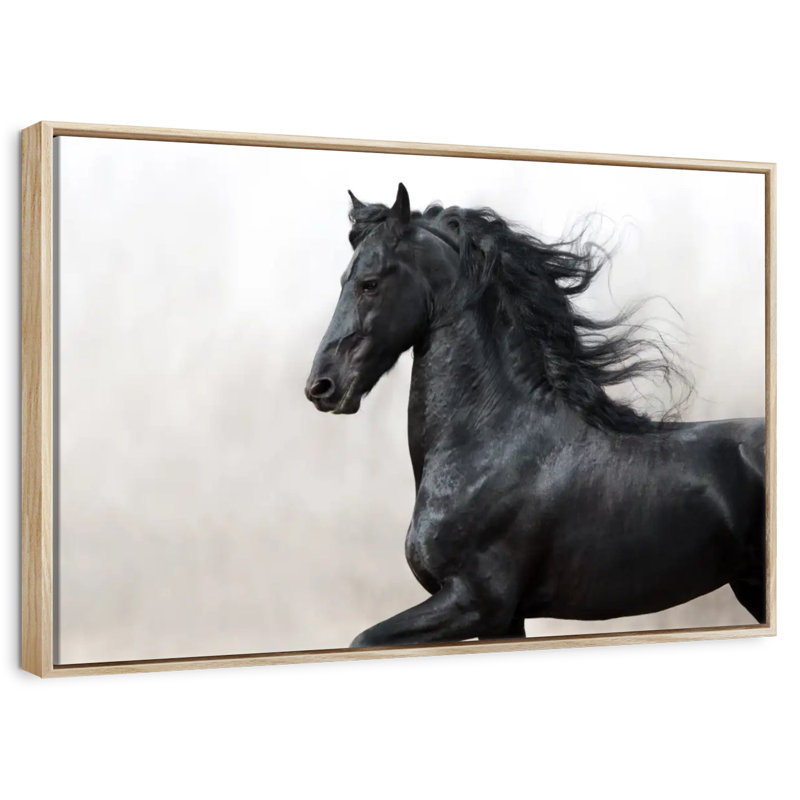 Cheval frison noir, 25 po x 17 po, Cadre flottant en bois naturel