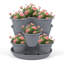 Saliah Pot Planter-230512549