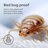 The Original Sleep Defense System Zippered Waterproof Bedbug Proof Dust Mite Proof Mattress Encasement-1535731753-1551205960