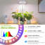 Grow Light, lampe à DEL pour plantes d'intérieur en pleine croissance, lampe de bureau à spectre complet avec minuterie automatique pour 4H / 8H / 12H, 4 niveaux d'intensité réglable, hauteur réglable de 9,8 "à 30,6"