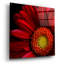 "Red Gerbera On Black 02" par Tom Quartermaine-1008111174