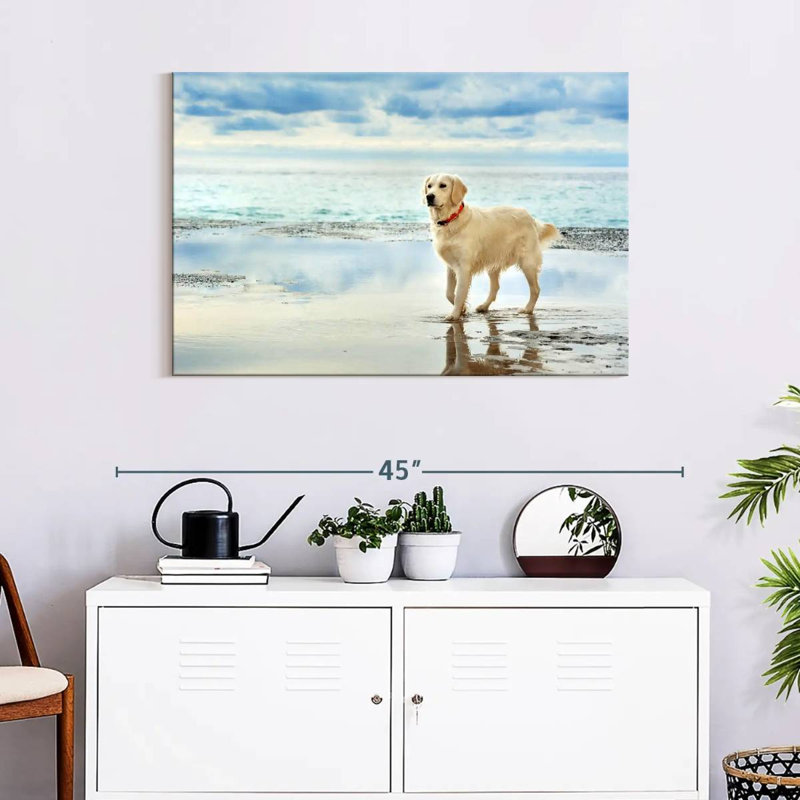 Golden Retriever bord de mer, H 24 po x l 36 po