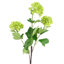 Pack of 6 x 70cm Viburnum Spray