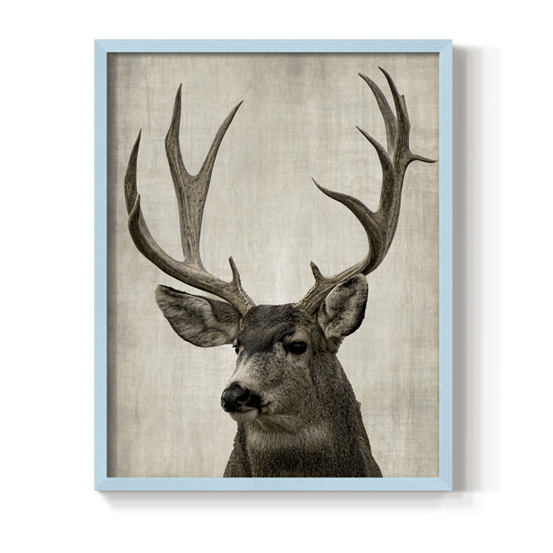 Impression encadrée Colorado Buck - bois massif, H 11 po x l 9 po, Bleu