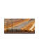 Ivetta Performance Abstract Indoor Rug