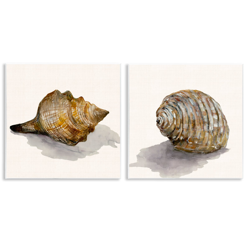 «Neutral Beach Shells» par Jacob Q