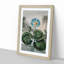 Blue Egyptian Water Lily by R.J. Thornton - Picture Frame Art Print-55545406-55545405