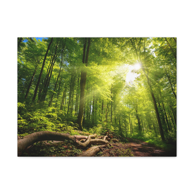No Frame Print on Canvas