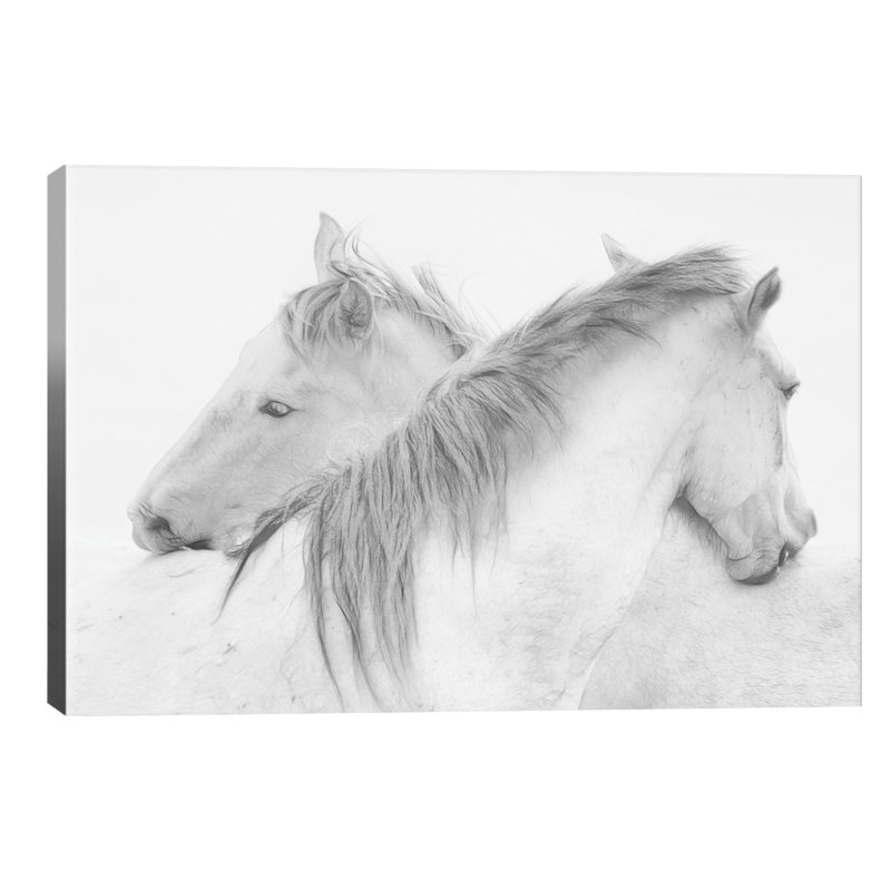 Horses by Marie-Anne Stas - Wrapped Canvas Print, 66.04 cm H x 45.72 cm W x 3.175 cm D