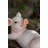 Yoga Pig Polyresin Statue
