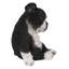 Sleepy Boston Terrier Puppy Statue Sitting