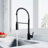 Dowell Pull Down Kitchen Faucet-43235577