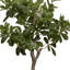 Arbre de 47,5 po Faux Tung en pot