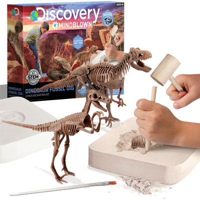 Dinosaur Excavation Kit Skeleton