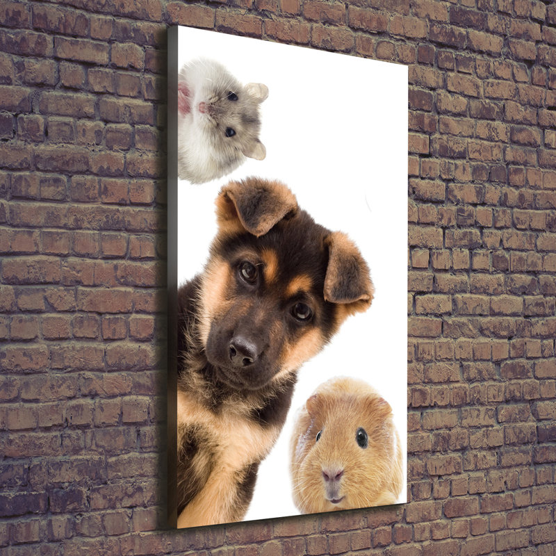 Pets - Wrapped Canvas Print