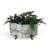 Giovanni Pot Planter