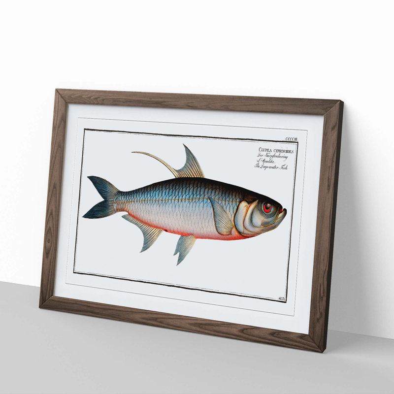 Deep-water Fish by M.E. Bloch - Picture Frame Painting Print, 48cm H x 65cm W x 2cm D, Walnut Framed