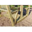 Breslyn 212cm W x 144cm D Solid Wood Arbour with Bench in Brown