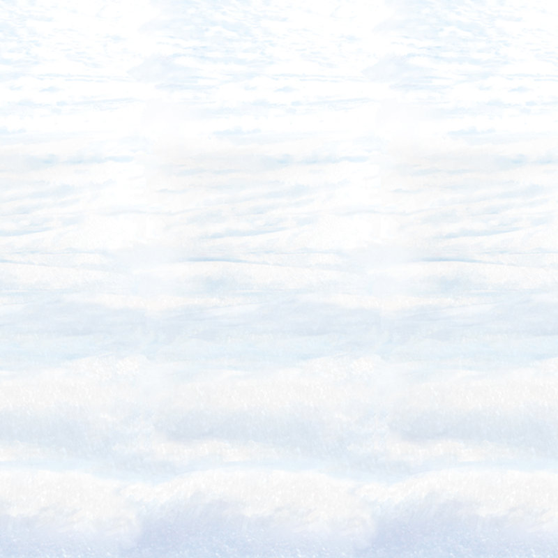Christmas Snowscape Backdrop