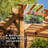 Backyard Discovery Bellerose XL 13' x 11' Cedar Wood and Polycarbonate Walk-In Outdoor Greenhouse Kit with Pergola