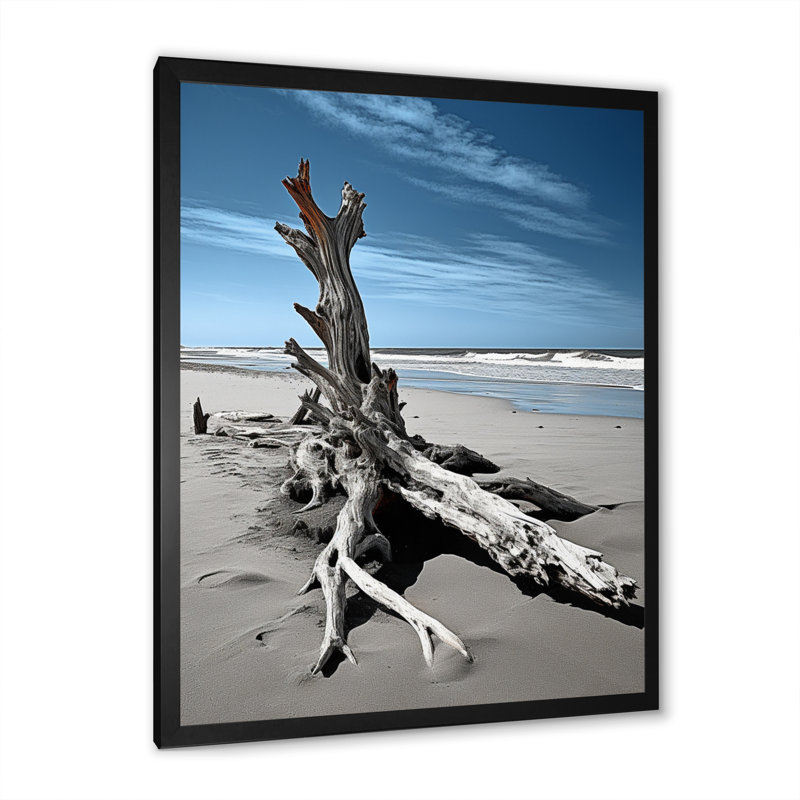 Plage flottante photo II, H 20 po x l 12 po x P 1 po, Cadre photo noir