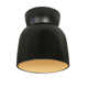 LED Ceramic Bell Outdoor Flush Mount