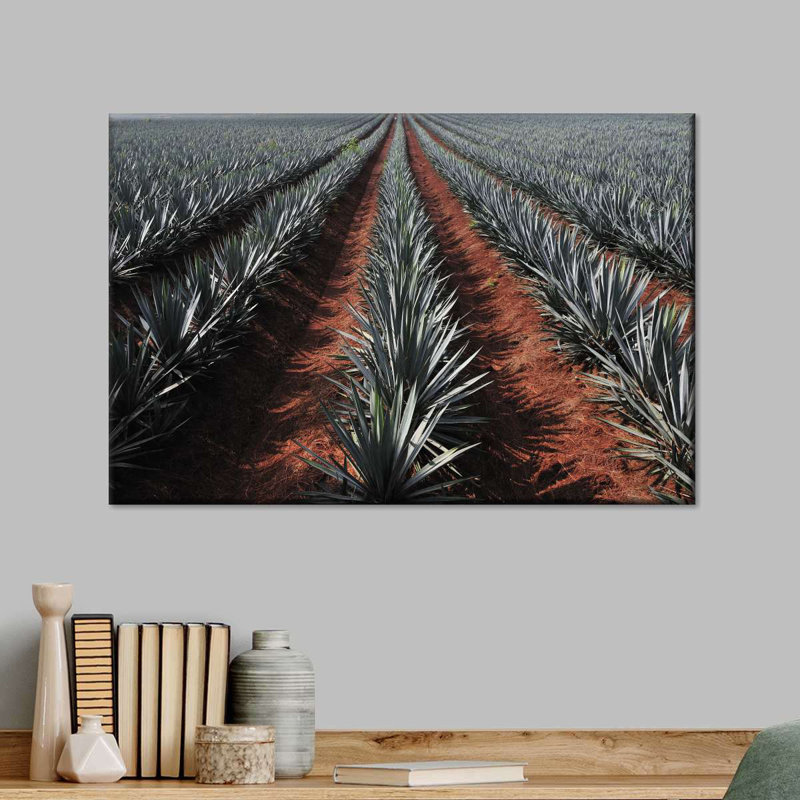 " Agave Field ", 8" H x 12" W x 1" D