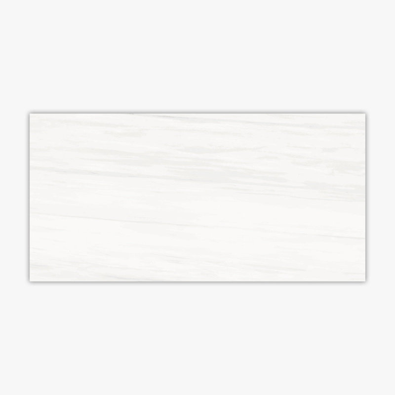 Dolomite White Matte 24x48 Porcelain Tile, White
