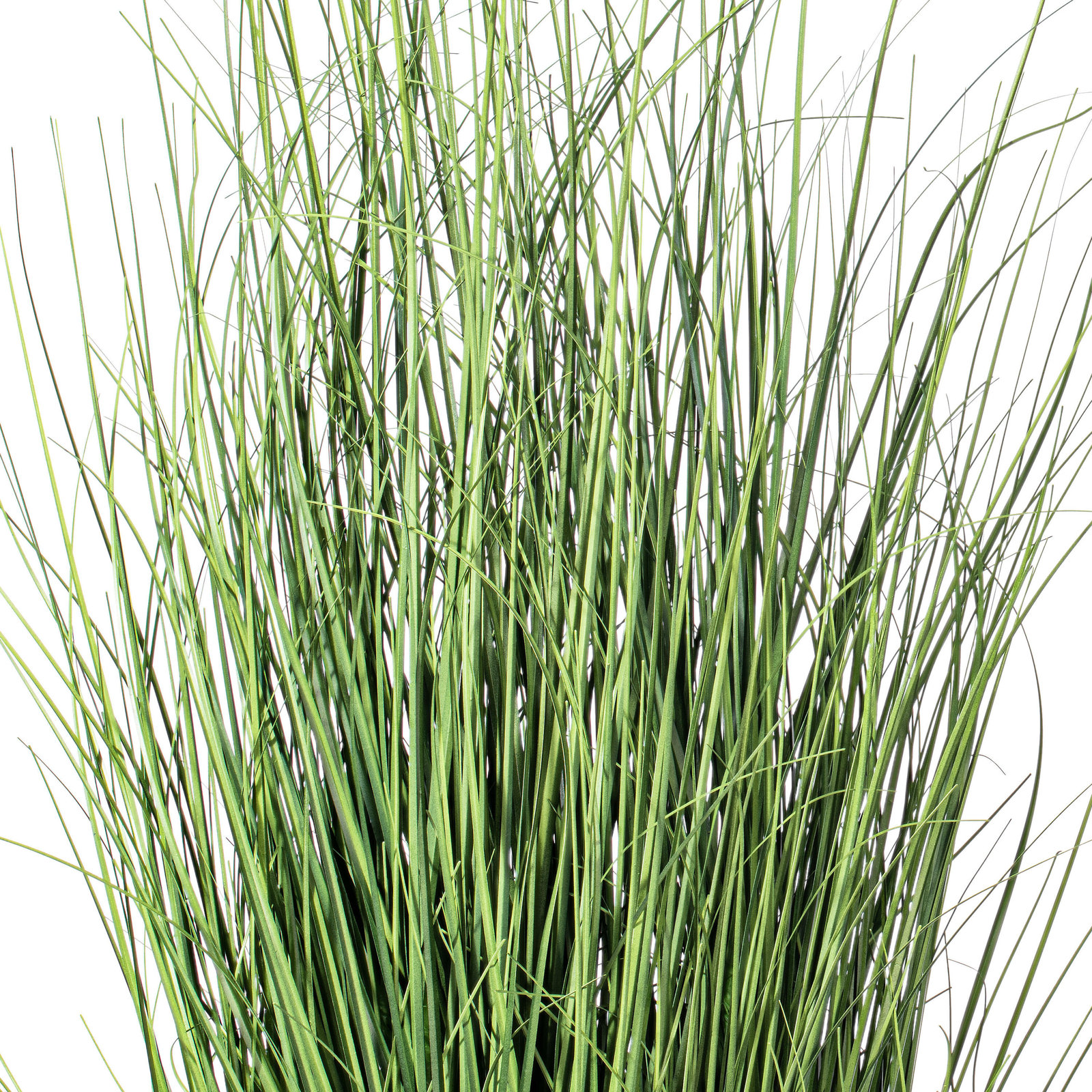 Kellan 60" Grass in Pot, 36" H x 18" W x 18" D
