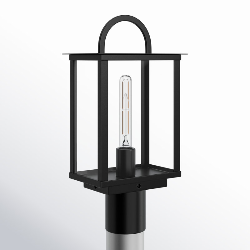 Jumelle Lantern Head