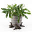 Mildred Weather Resistant Planter Feet