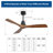 Nicola 52" 3 - Blade Standard Ceiling Fan with Remote Control-42910913