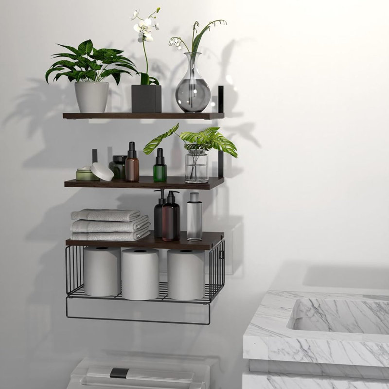 Achilleus 3 Piece Floating Shelf, Brown